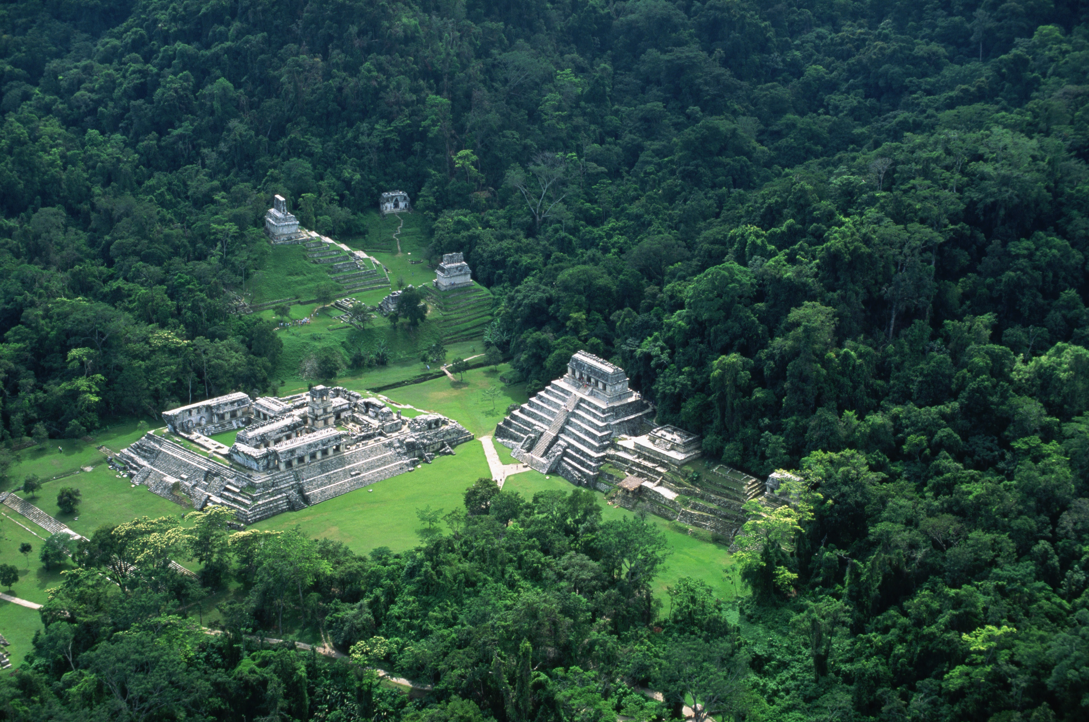 Aerial view of Palenque ,Mayan city