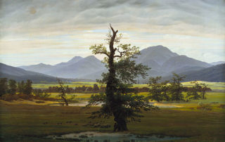 Landscape with single tree and two ponds