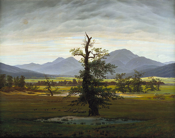 Landscape with single tree and two ponds